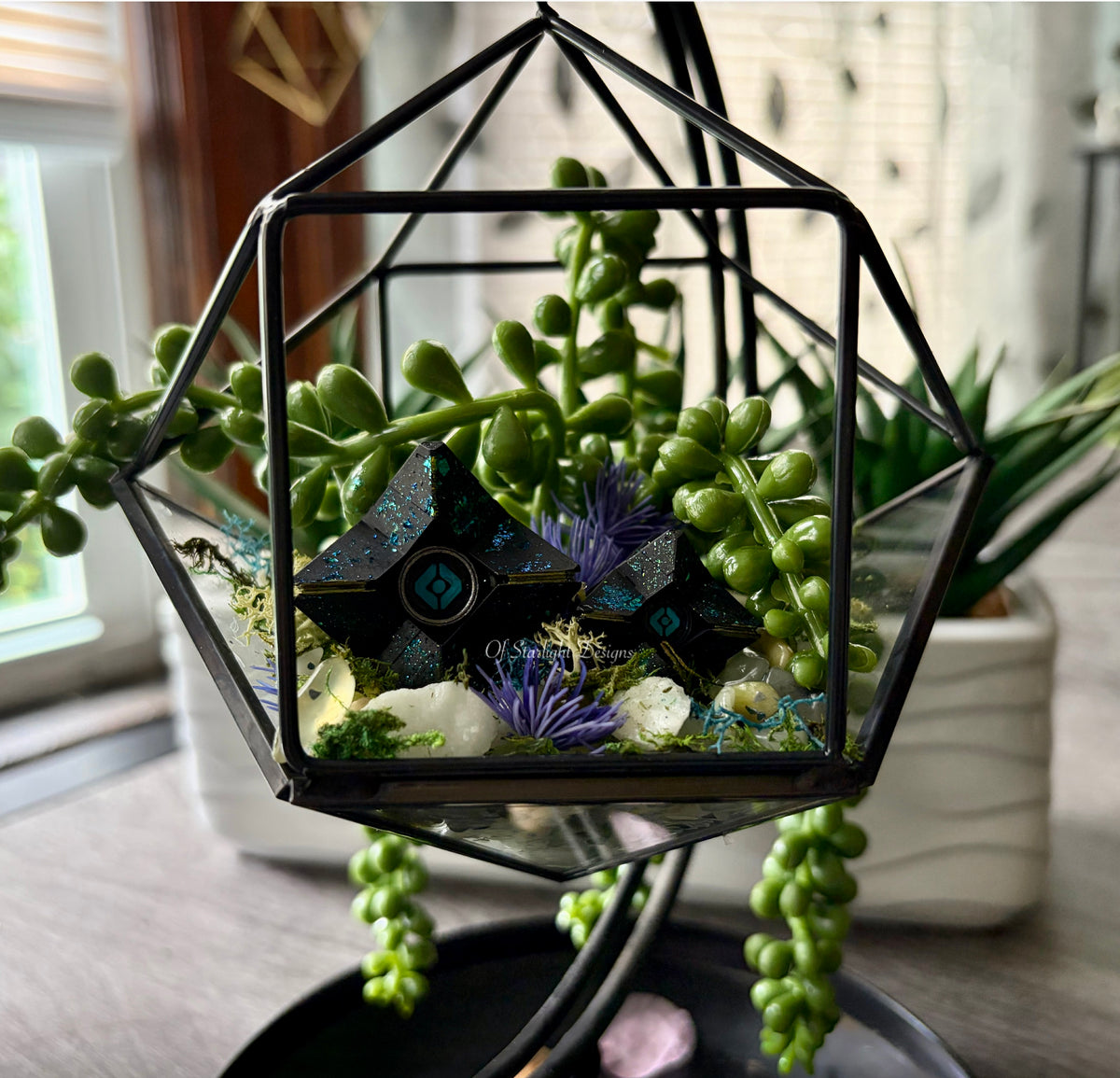 Hanging Venus Little Light Terrarium