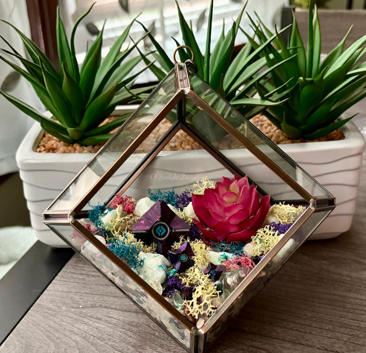 Hanging Dreaming Little Light Terrarium