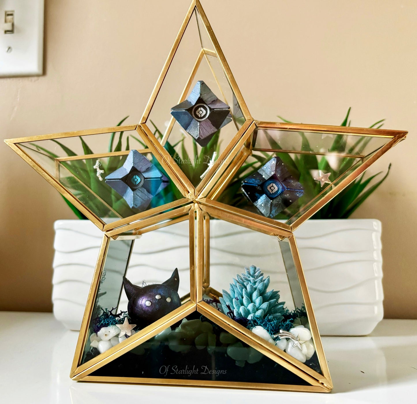 Cosmic Star Little Light Terrarium