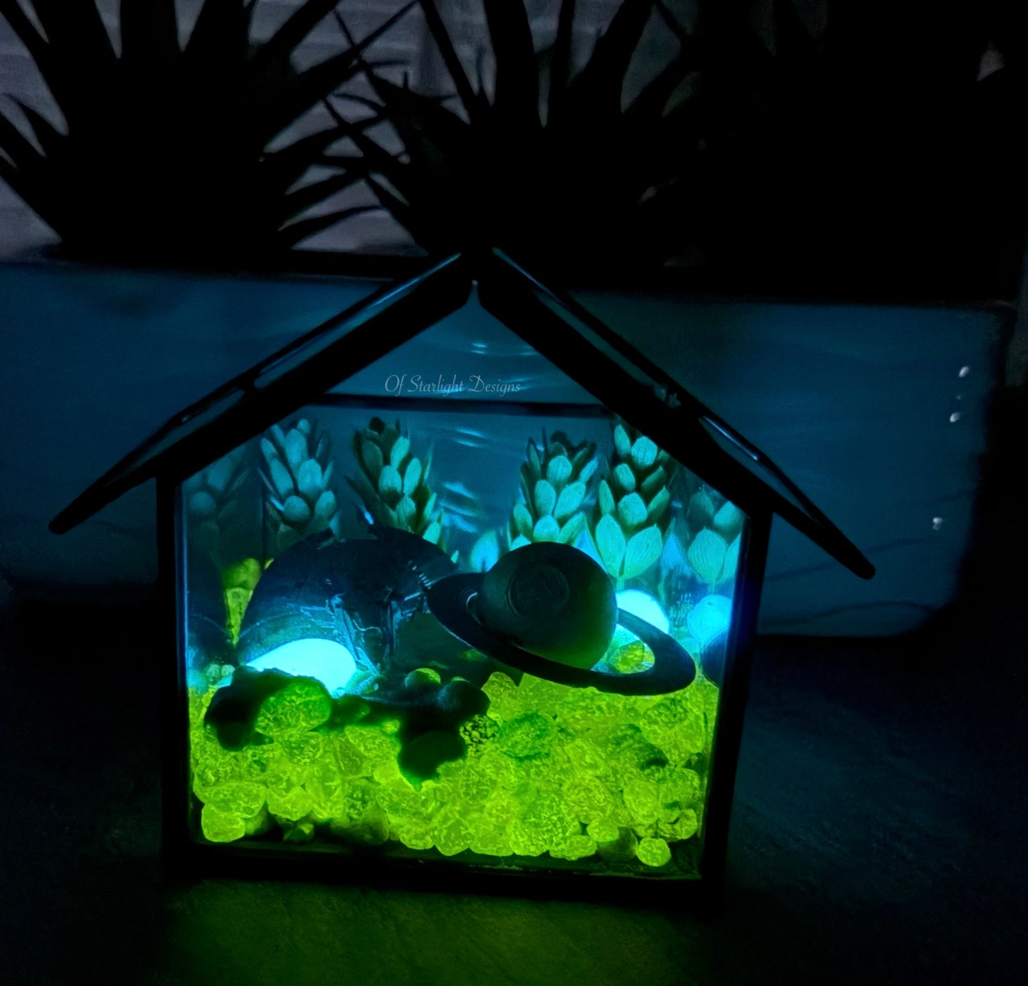 Io Glow Terrarium