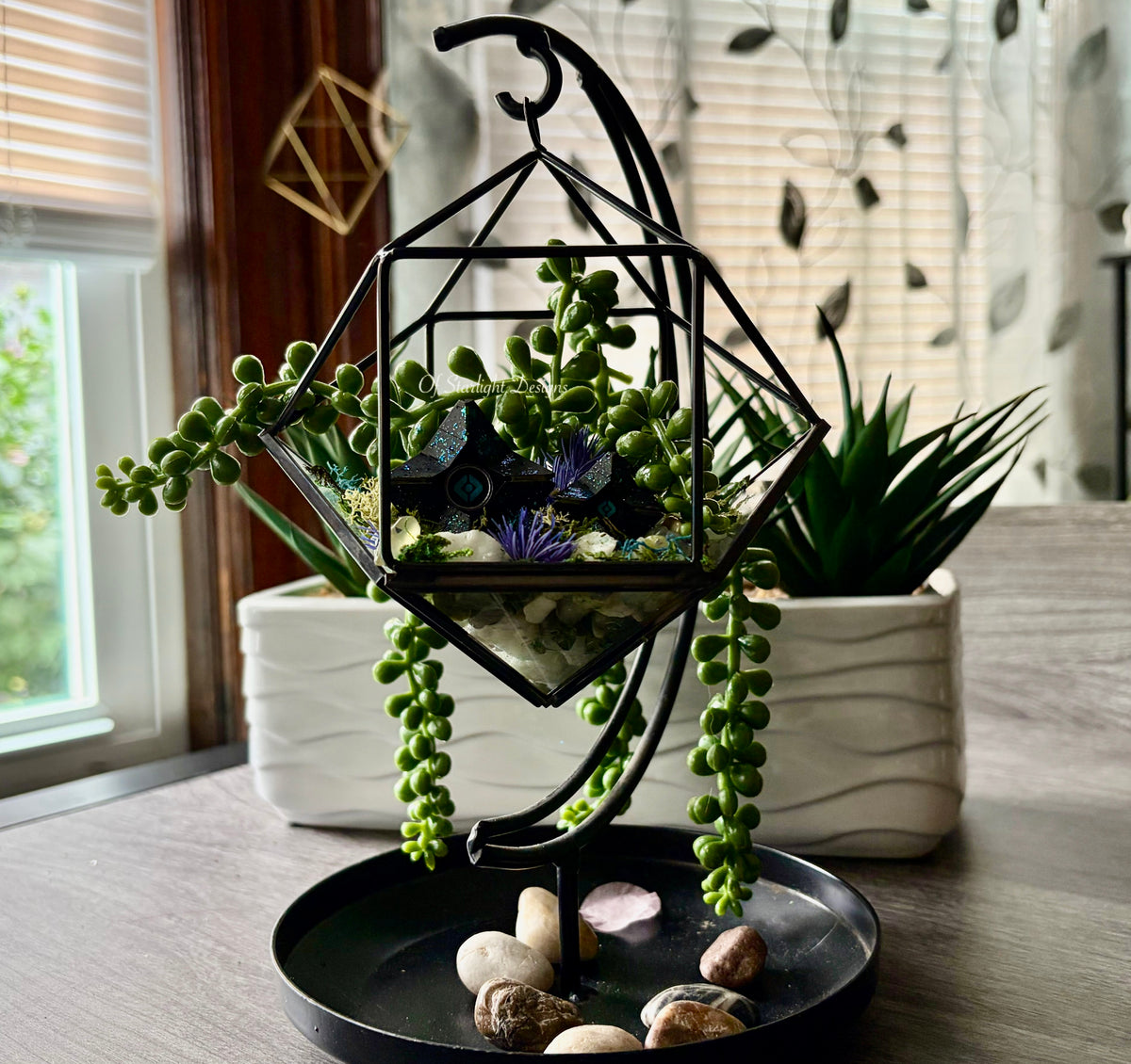 Hanging Venus Little Light Terrarium