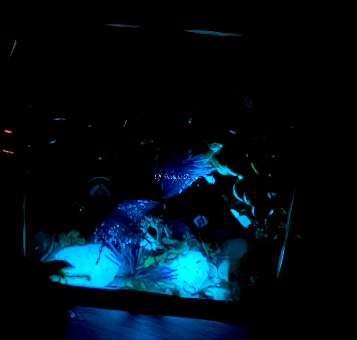 Hanging Venus Little Light Terrarium