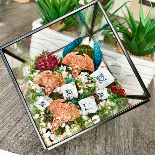 Black Garden Little Light Terrarium