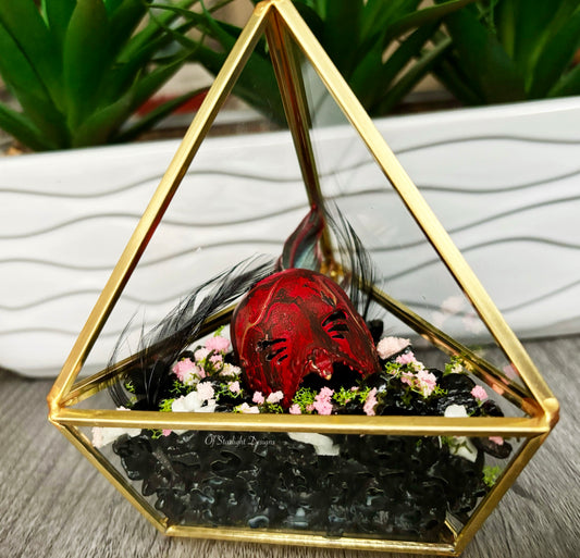 Sleep Arcadia Triangle Terrarium