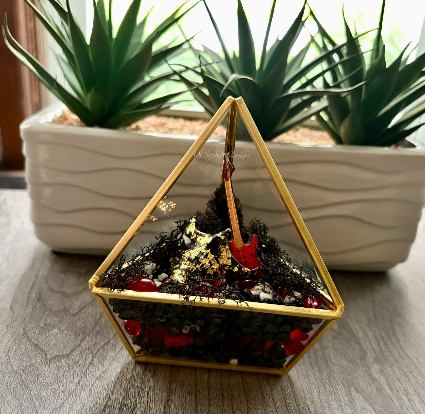 Evolution Triangle Terrarium
