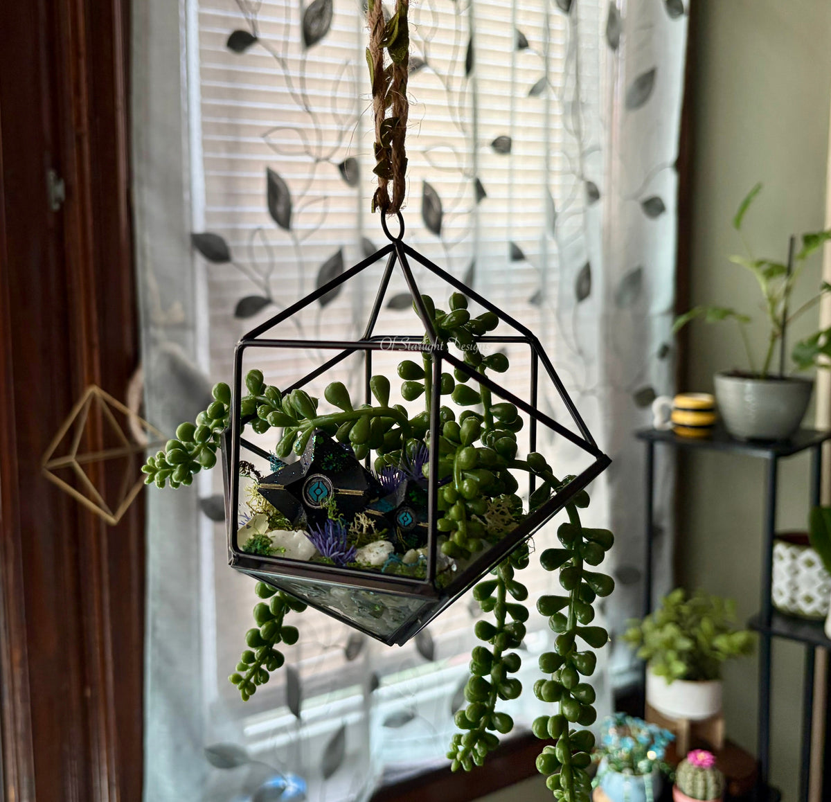 Hanging Venus Little Light Terrarium