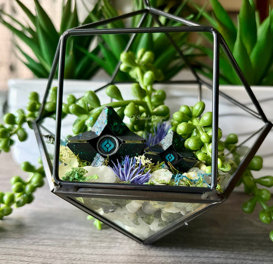 Hanging Venus Little Light Terrarium