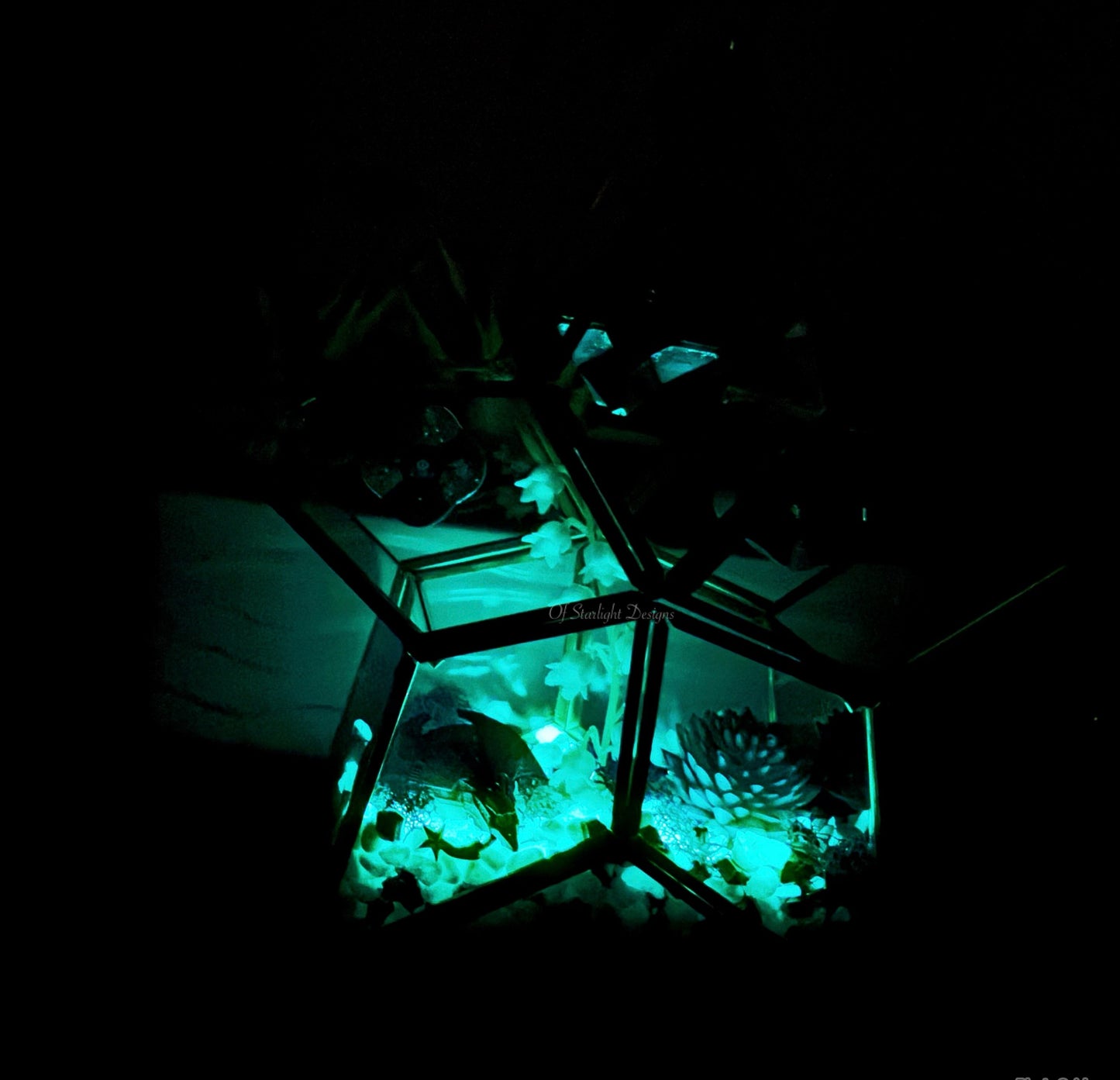 Vex Star Little Light Terrarium