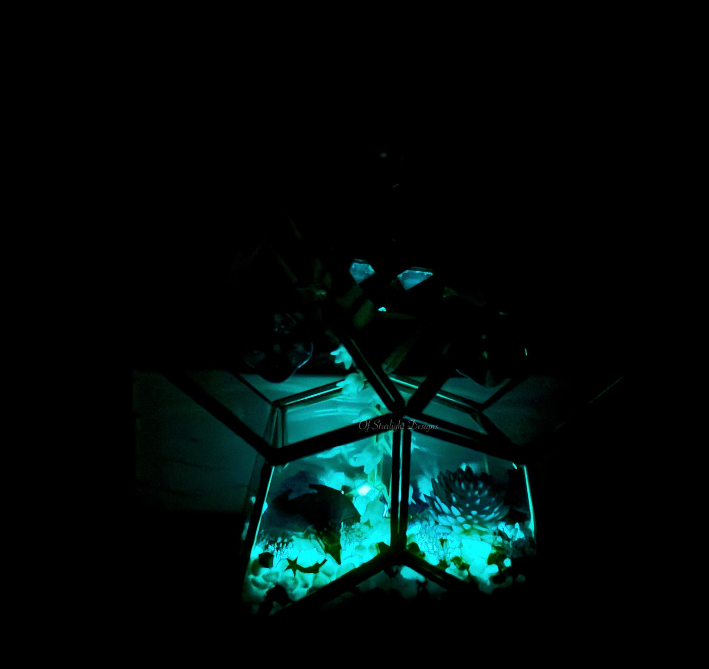 Vex Star Little Light Terrarium