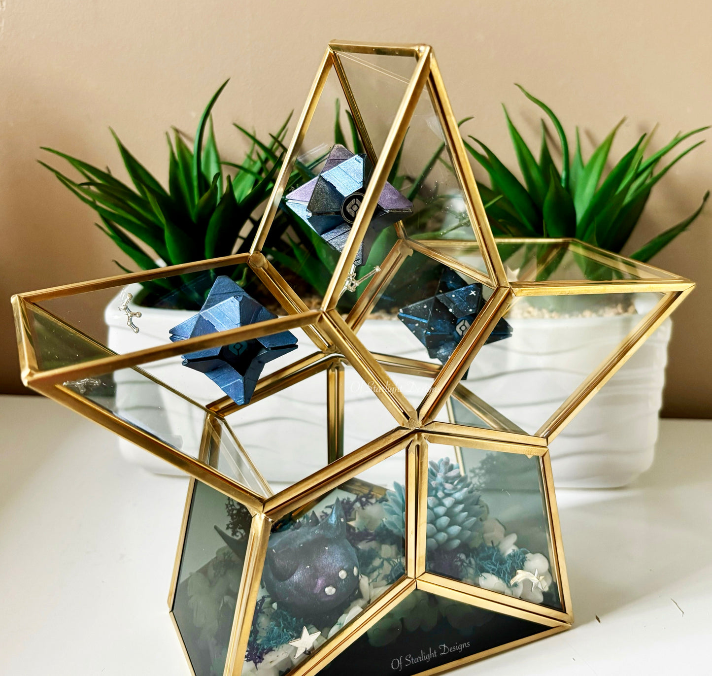 Cosmic Star Little Light Terrarium