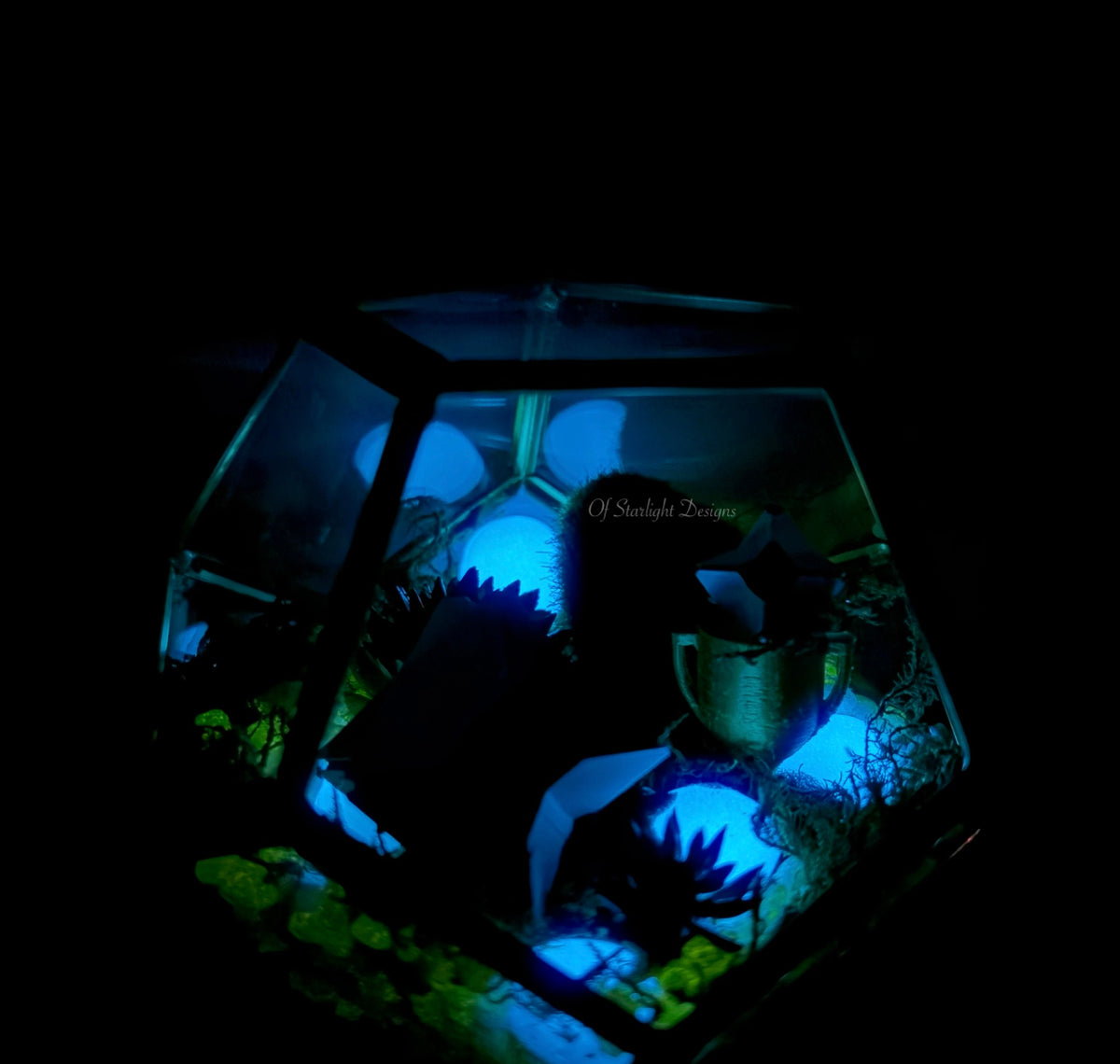 Victory Little Light Terrarium
