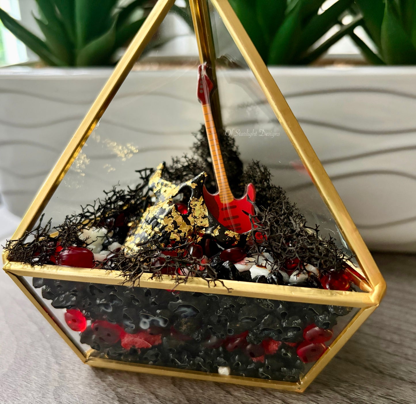 Evolution Triangle Terrarium