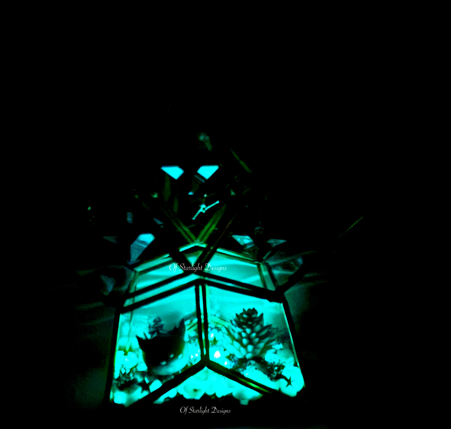 Cosmic Star Little Light Terrarium