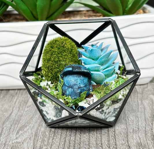 Space MIA Terrarium