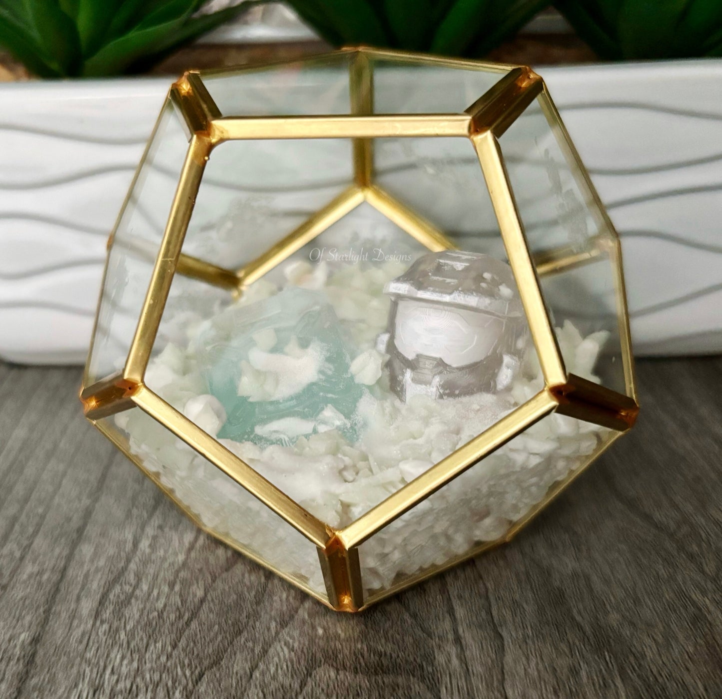 Winter Contingency MIA Terrarium