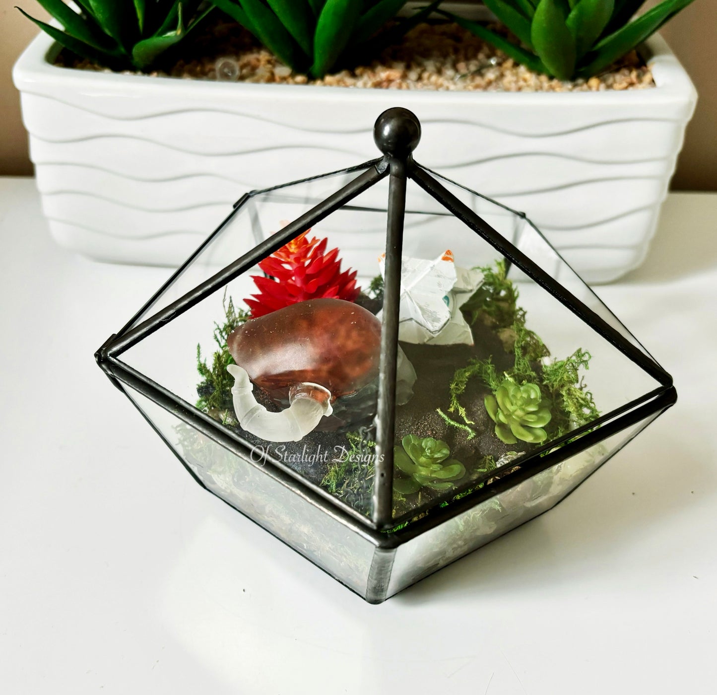 Shaxx Little Light Terrarium