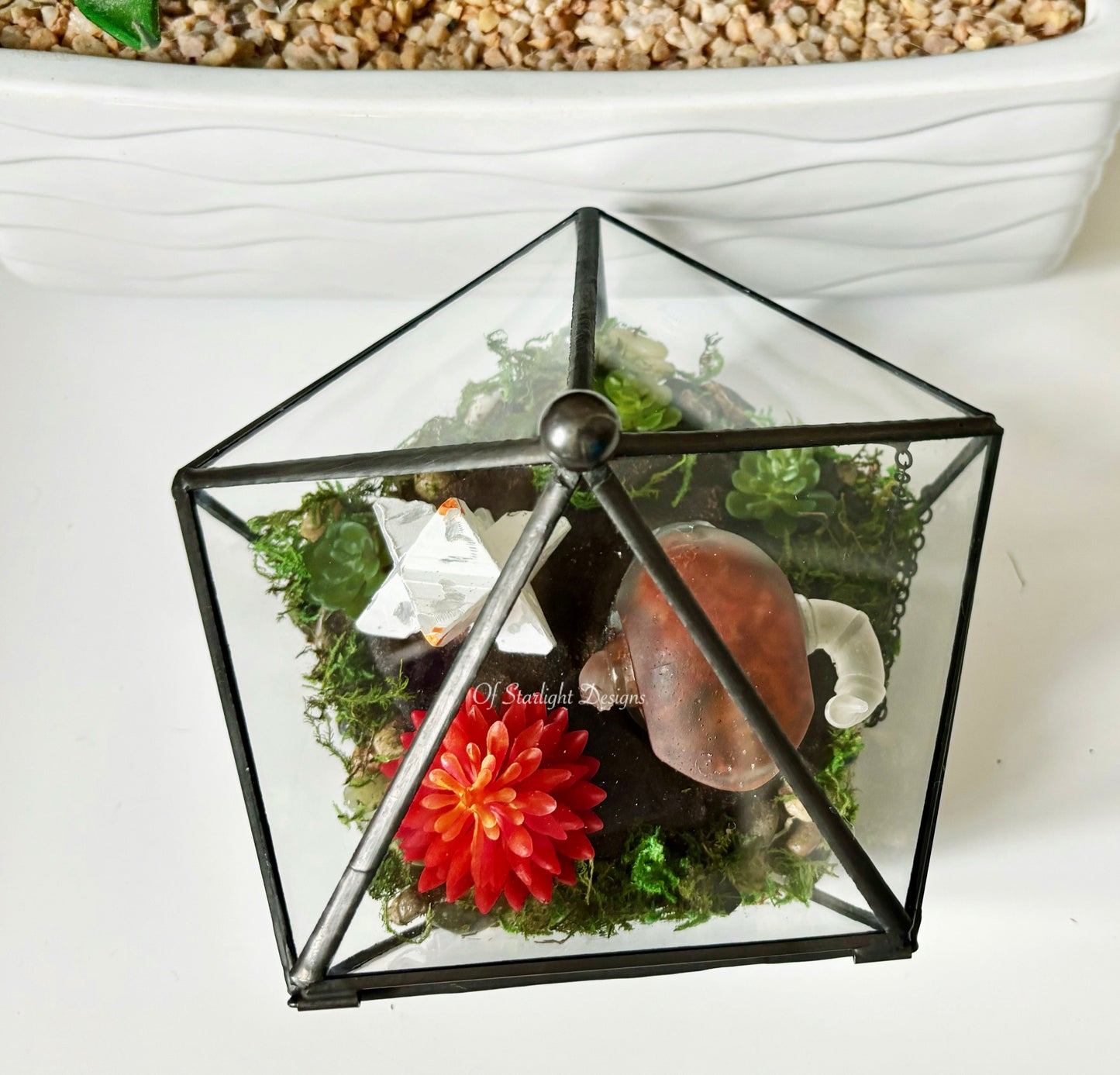 Shaxx Little Light Terrarium