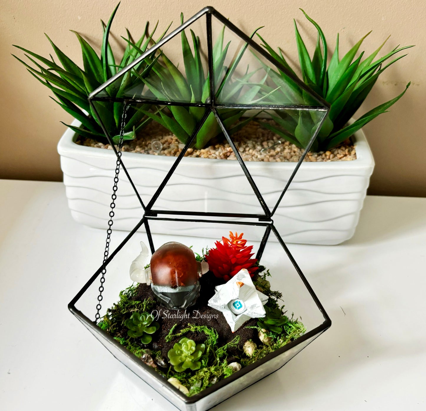 Shaxx Little Light Terrarium