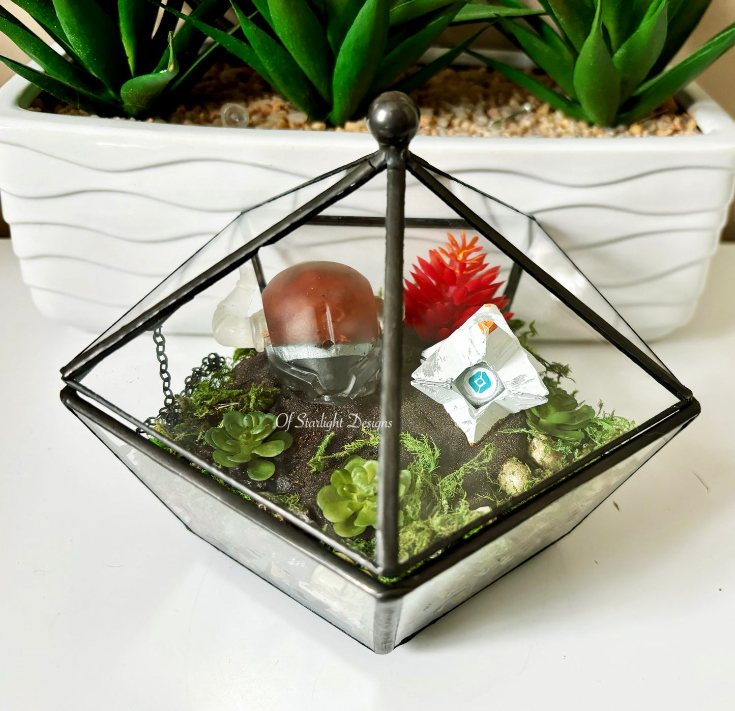 Shaxx Little Light Terrarium