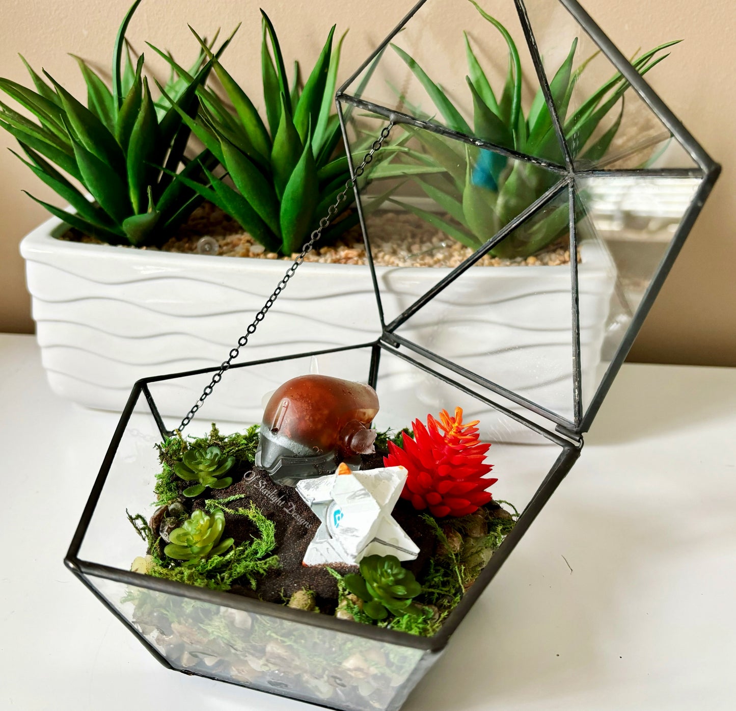 Shaxx Little Light Terrarium