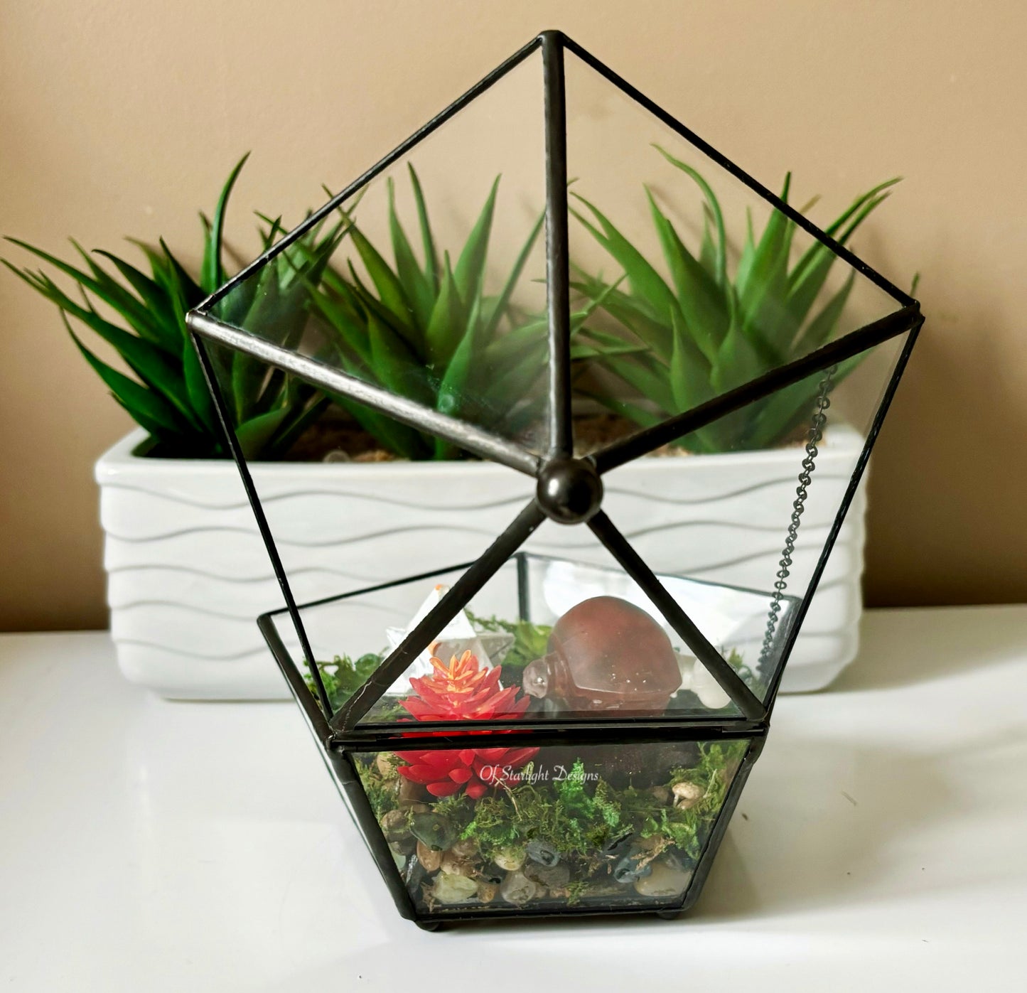 Shaxx Little Light Terrarium