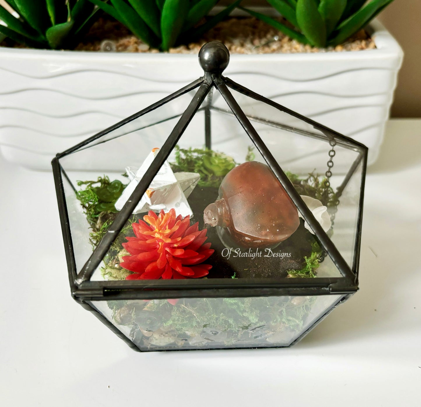 Shaxx Little Light Terrarium