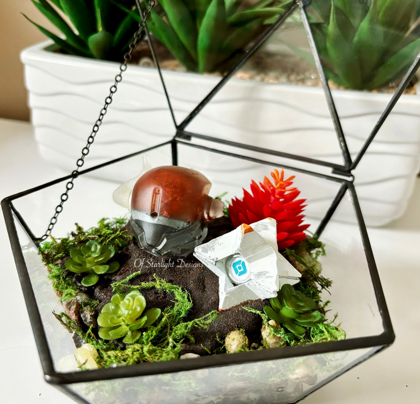 Shaxx Little Light Terrarium