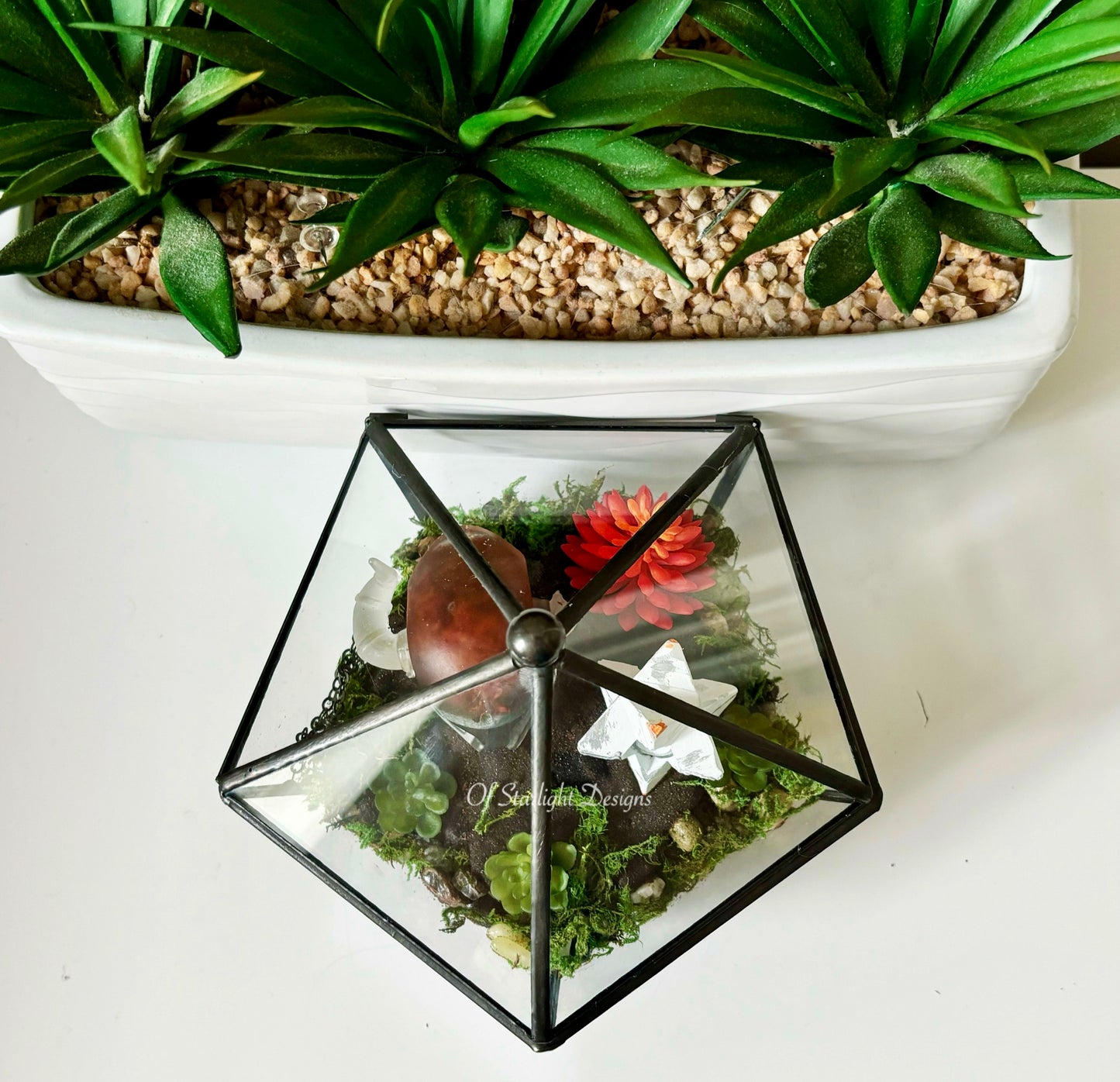 Shaxx Little Light Terrarium