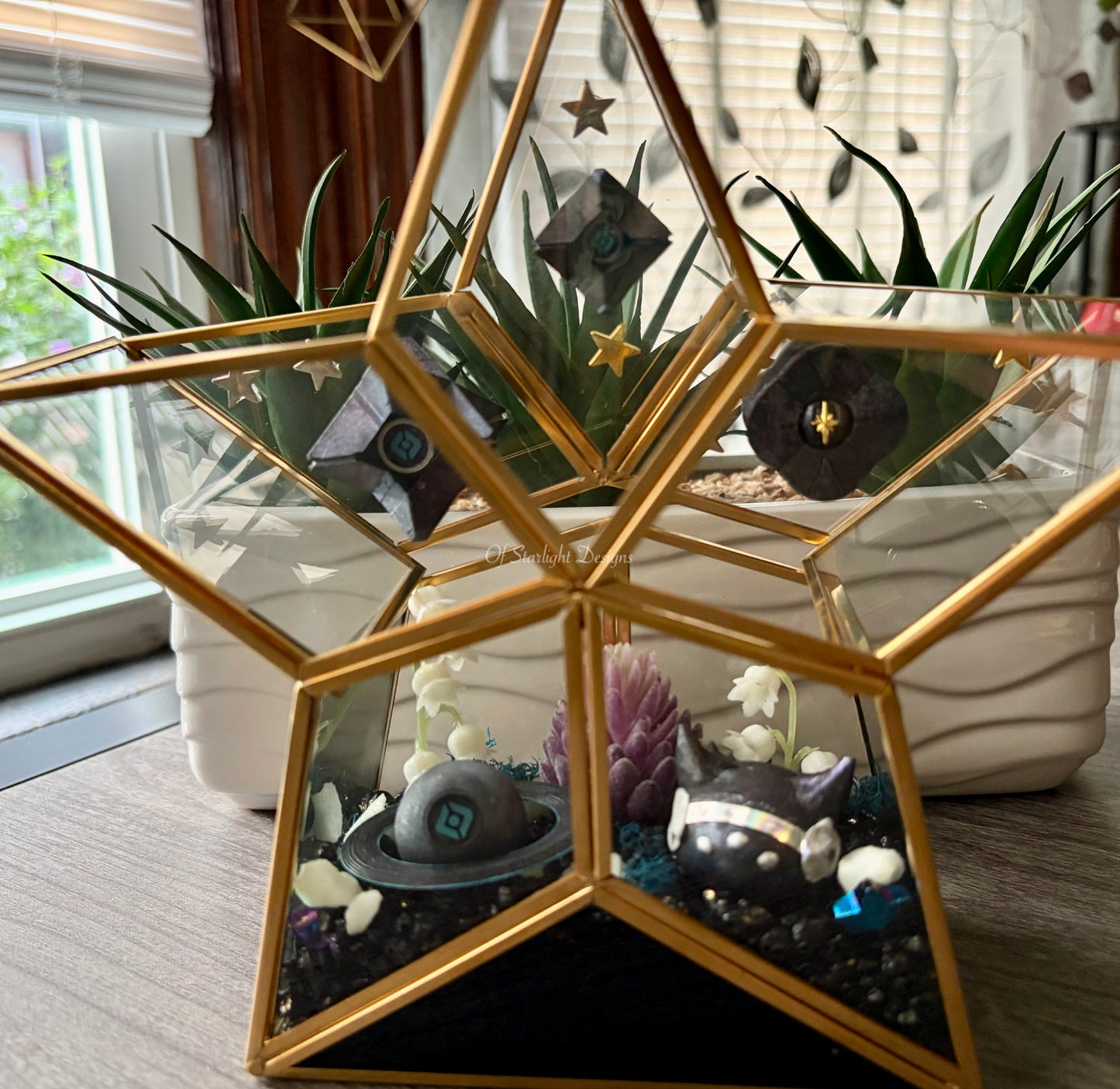 Star Glow Little Light Terrarium