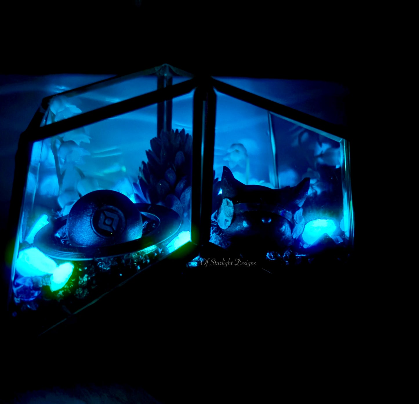 Star Glow Little Light Terrarium