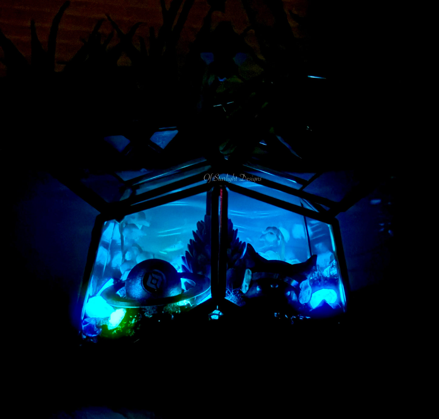 Star Glow Little Light Terrarium