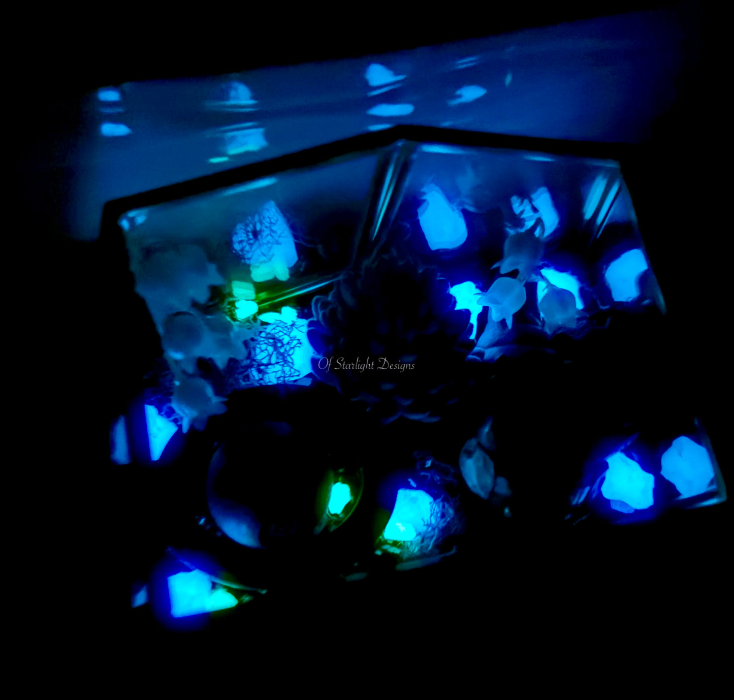 Star Glow Little Light Terrarium