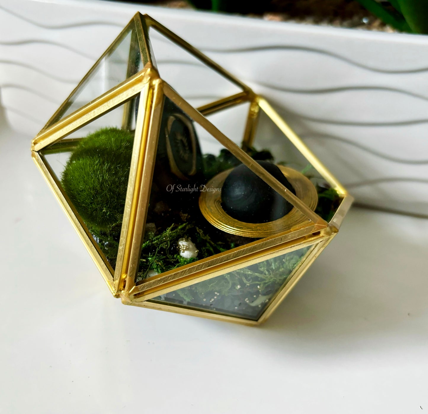 Tarnished Trials Little Light Terrarium