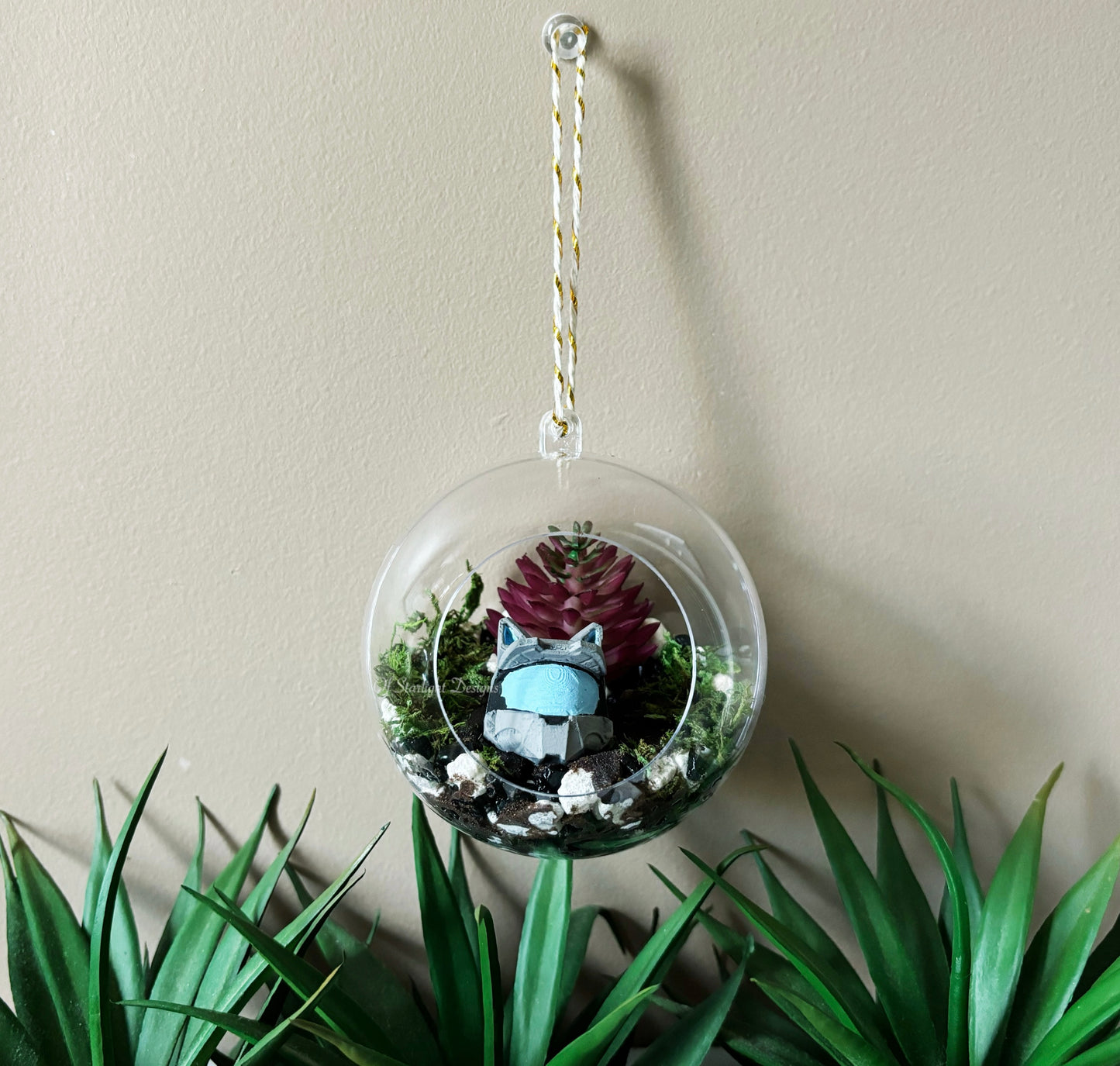 Meownir Succulent Orb