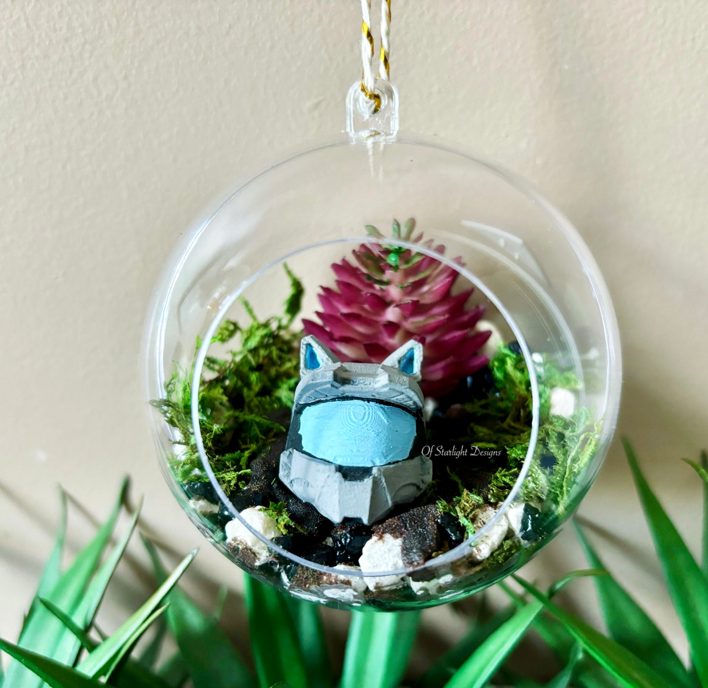 Meownir Succulent Orb