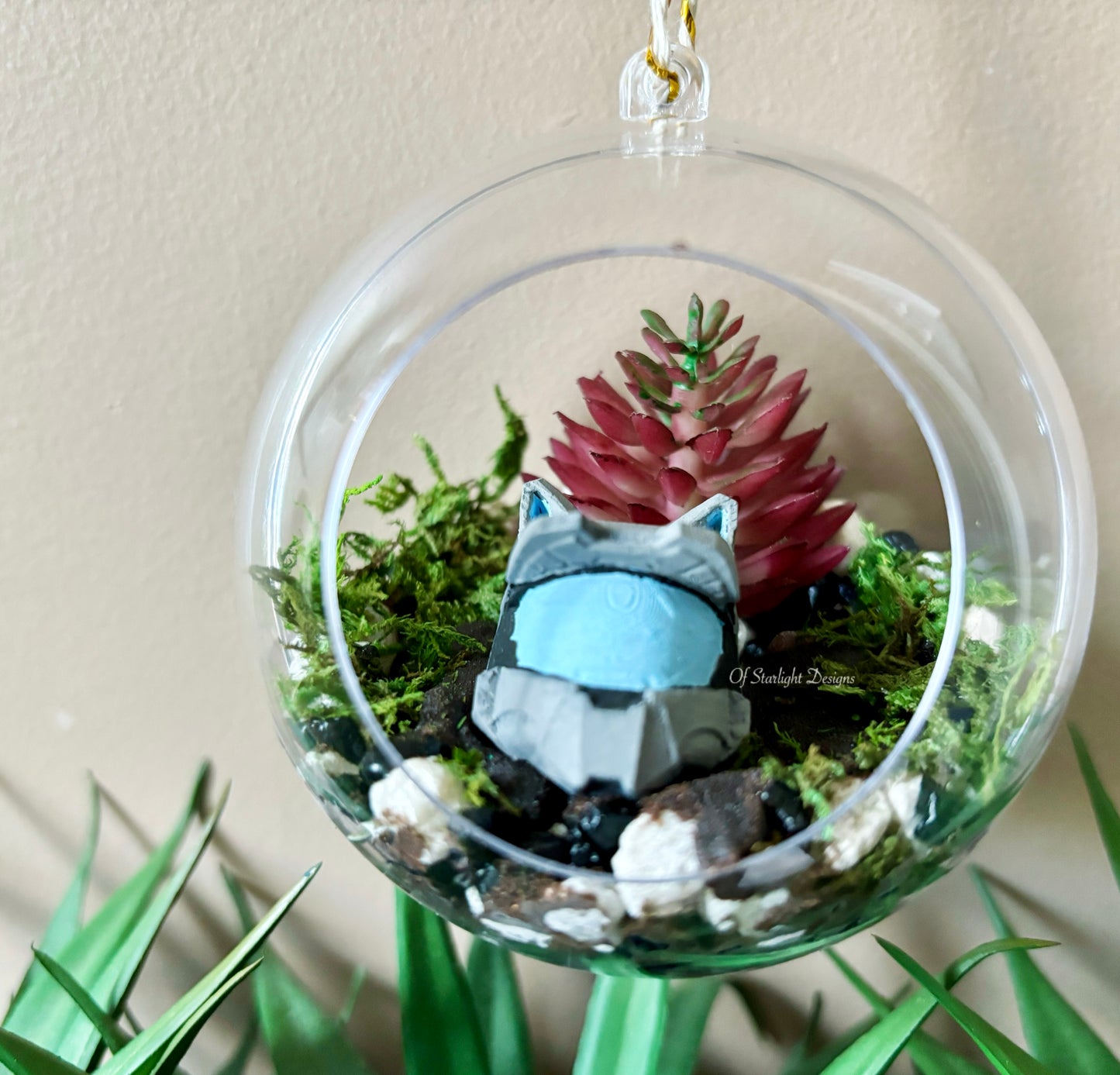 Meownir Succulent Orb