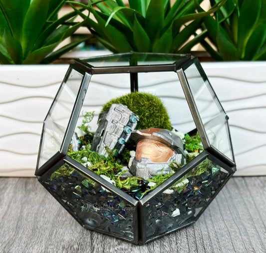 Grav Hammer Terrarium