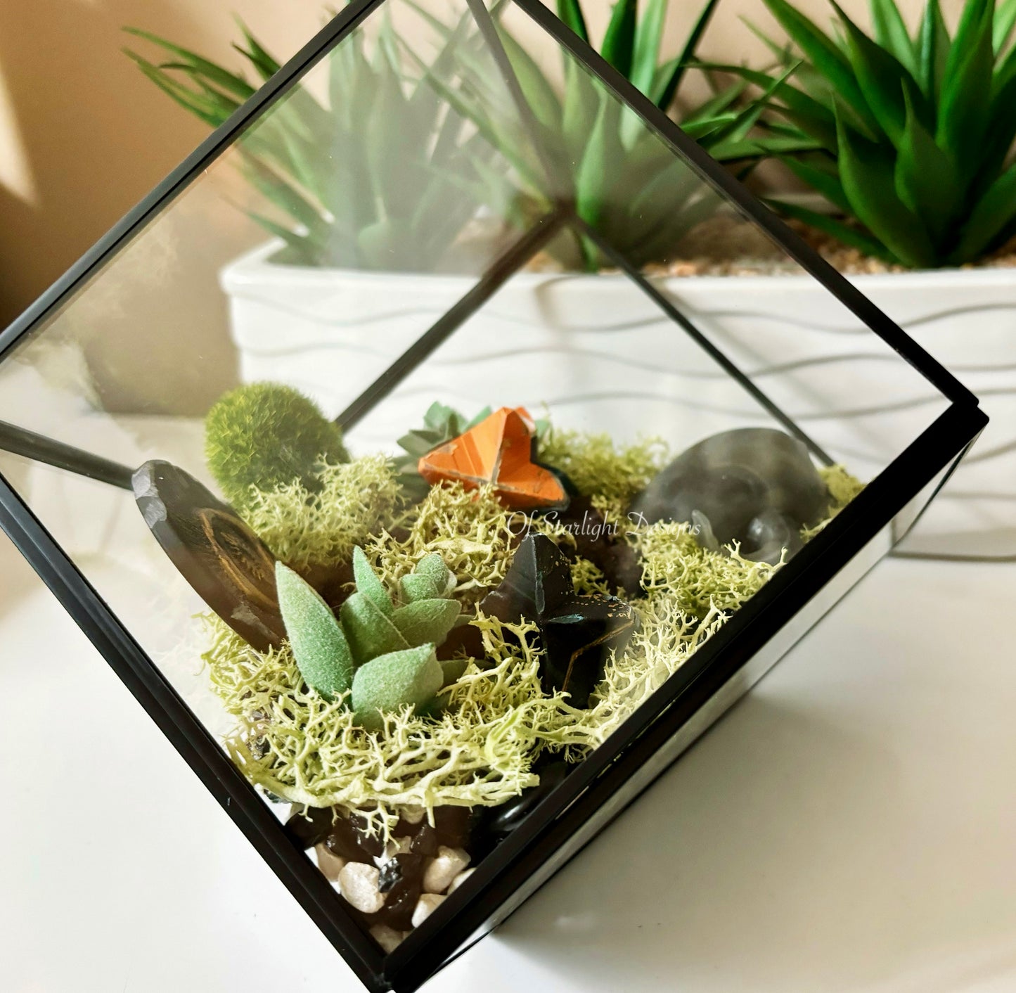 PvP Little Light Terrarium