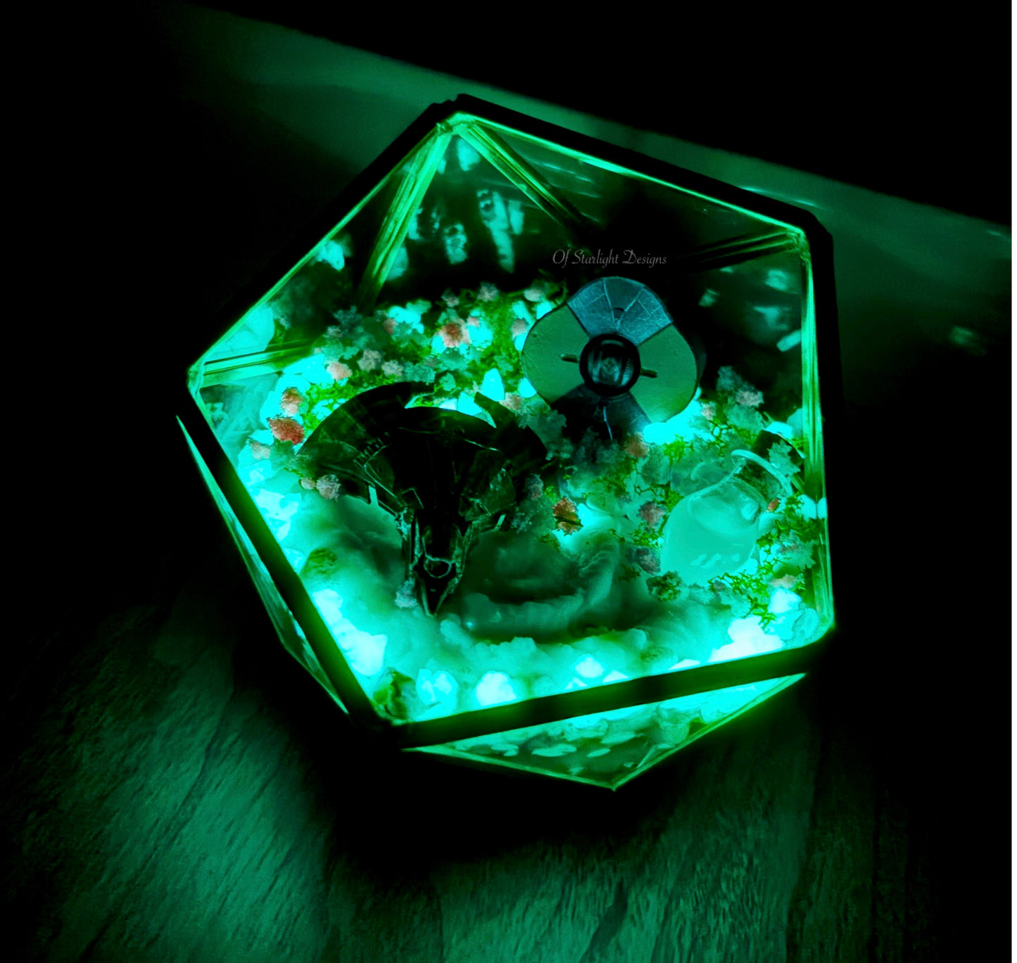 Dreaming CityTerrarium (Custom)