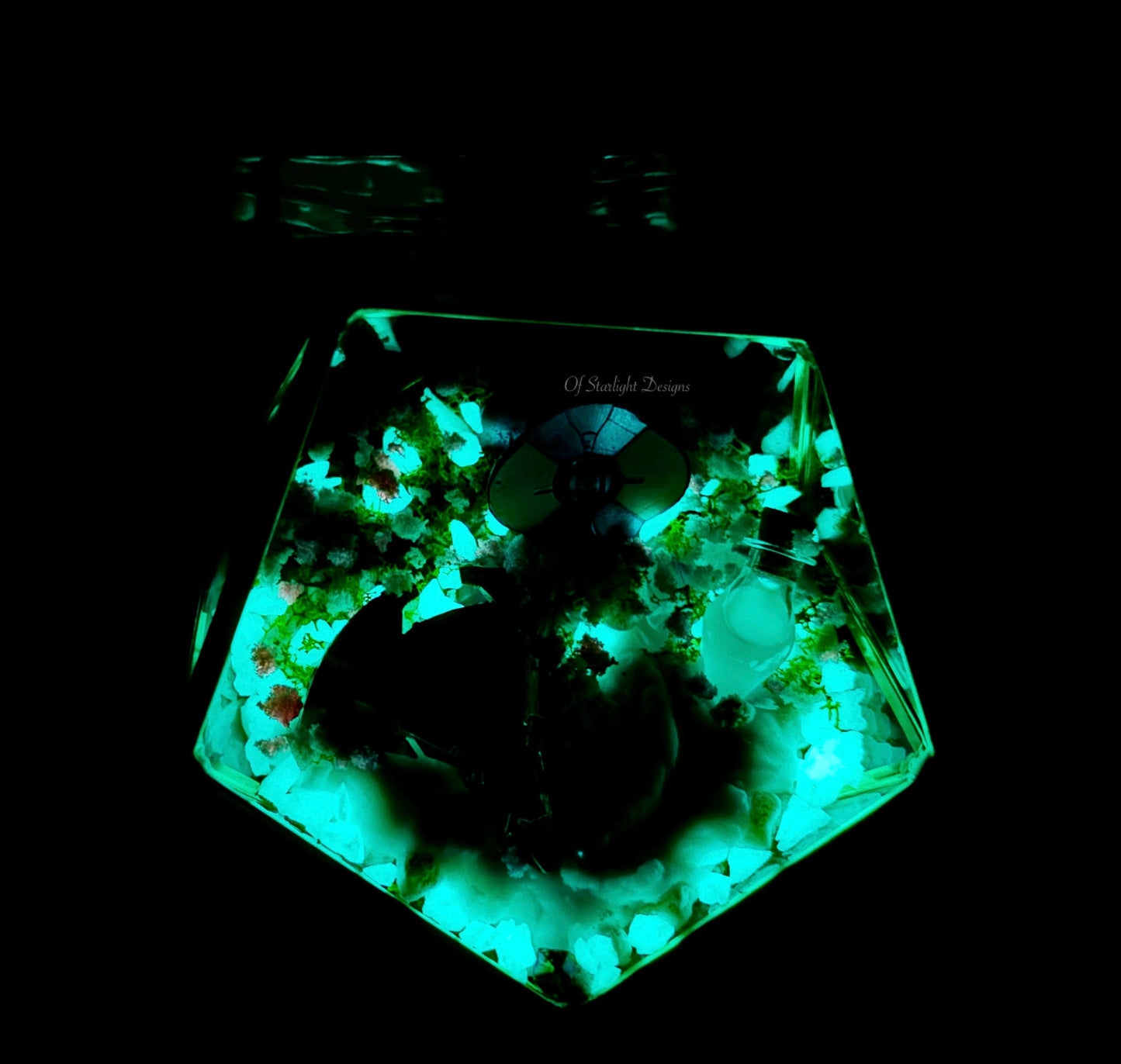 Dreaming CityTerrarium (Custom)