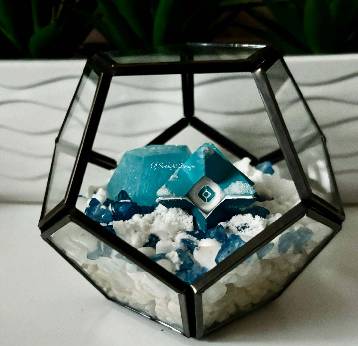 Snowy Little Light Terrarium