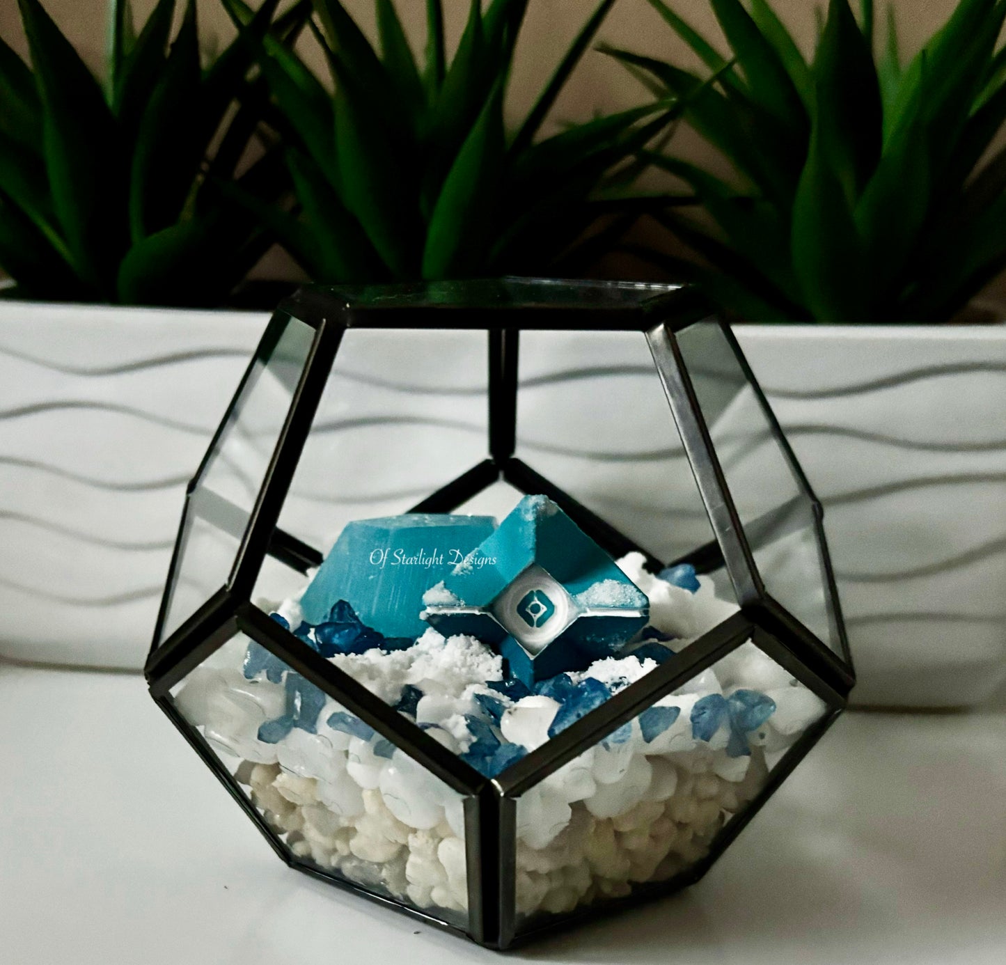 Snowy Little Light Terrarium