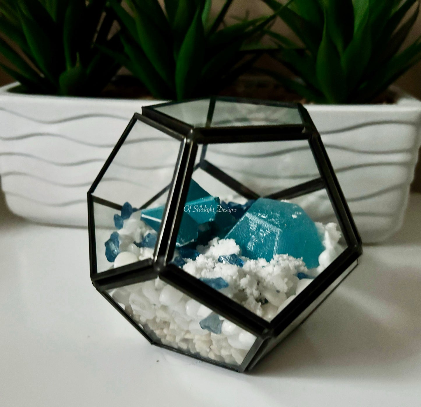 Snowy Little Light Terrarium