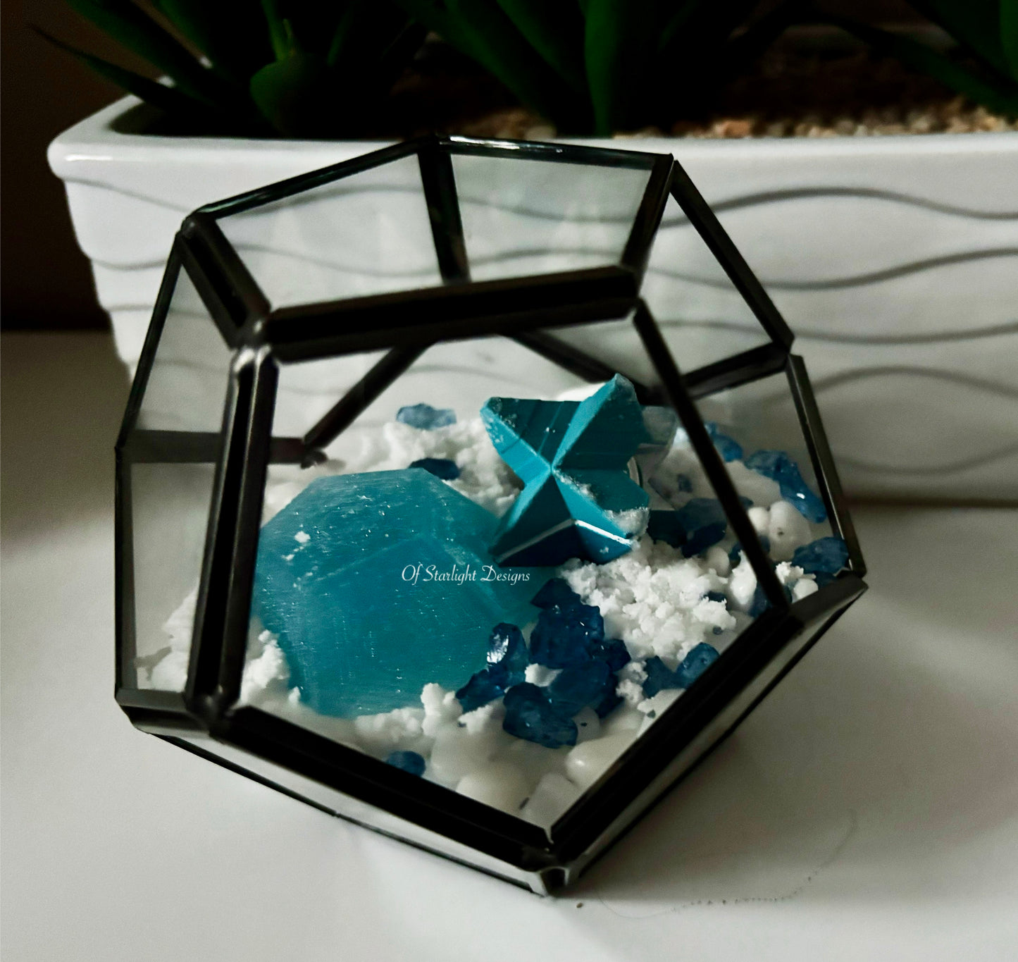 Snowy Little Light Terrarium