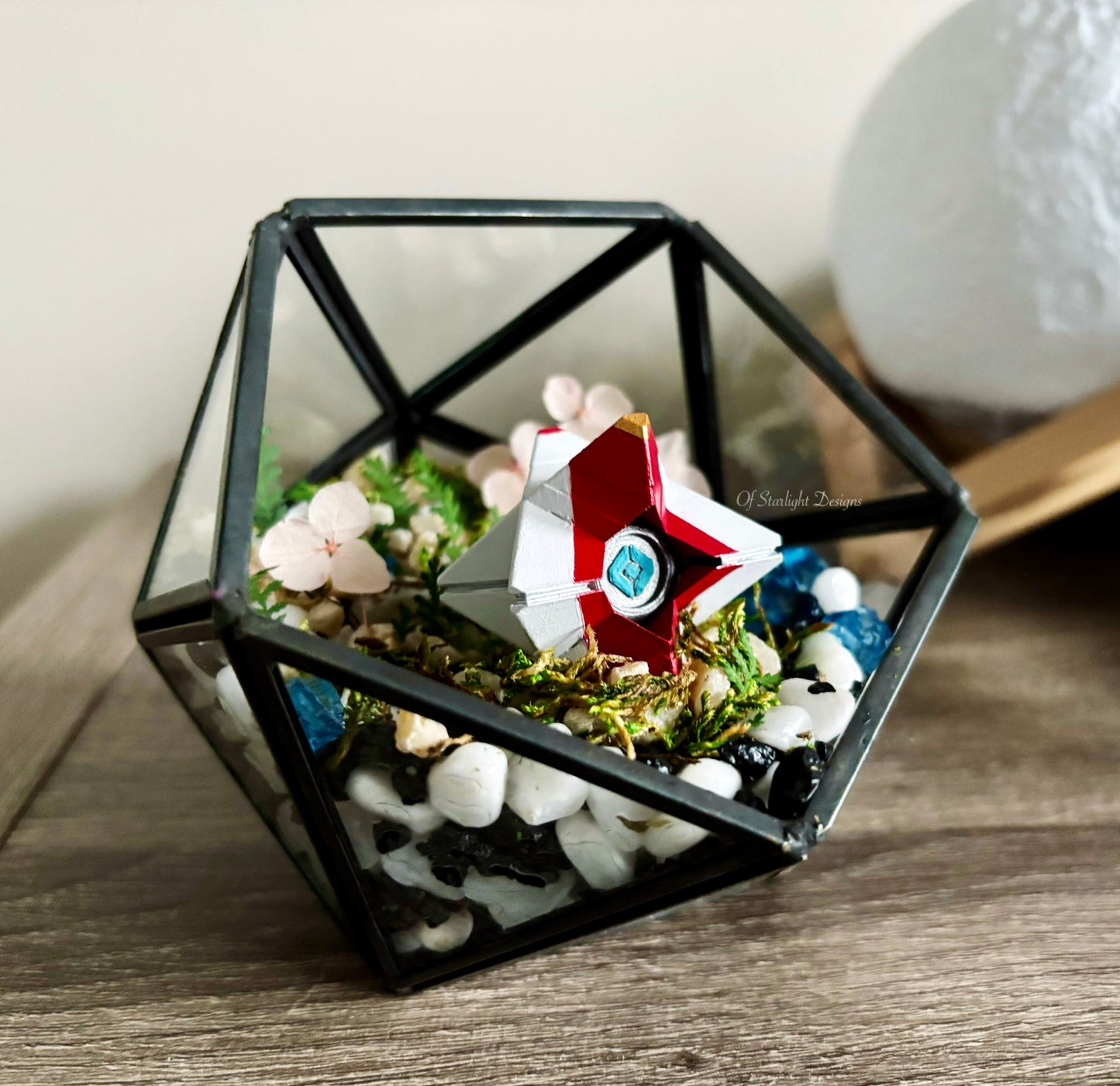 Pale Heart Sundance Terrarium (Custom)