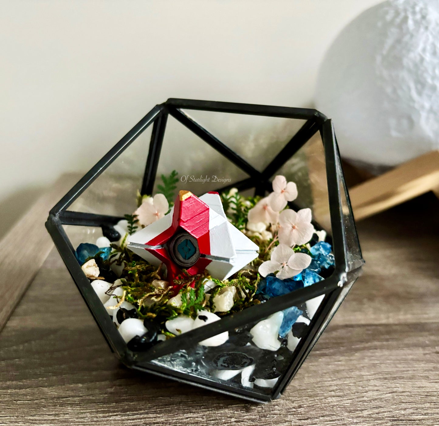 Pale Heart Sundance Terrarium (Custom)