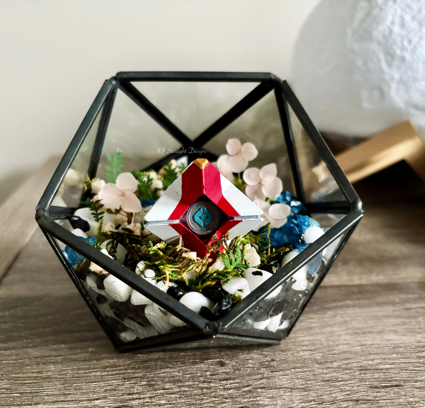 Pale Heart Sundance Terrarium (Custom)