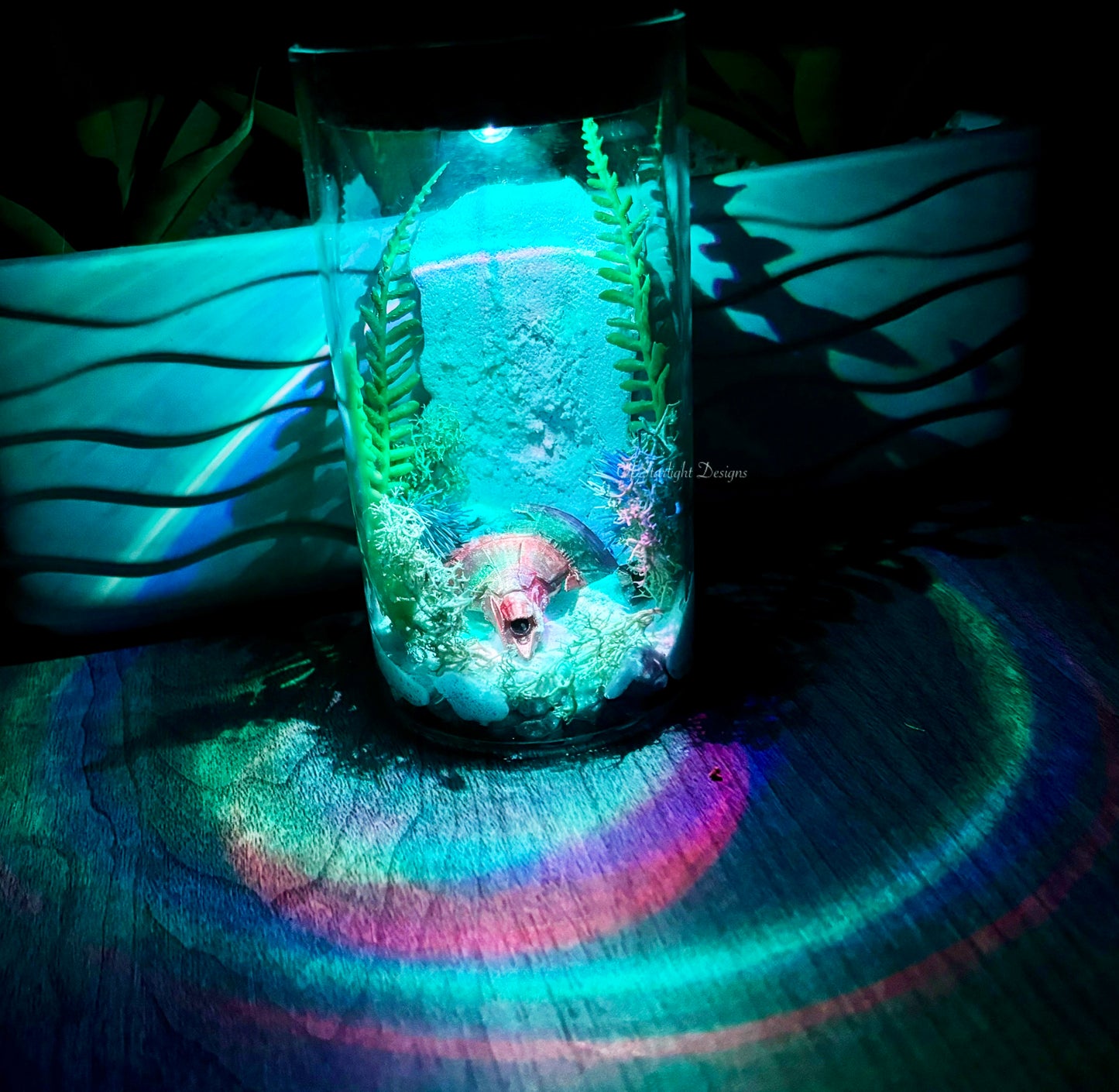 Forgotten Waterfall Light Test Tube