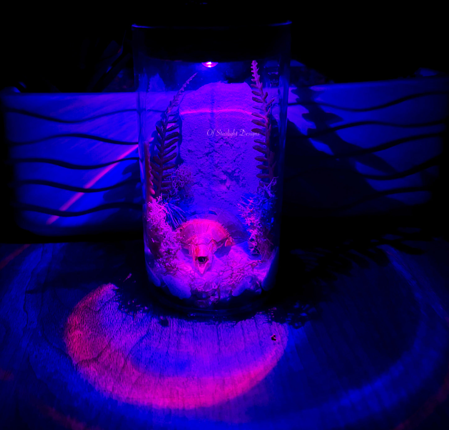 Forgotten Waterfall Light Test Tube