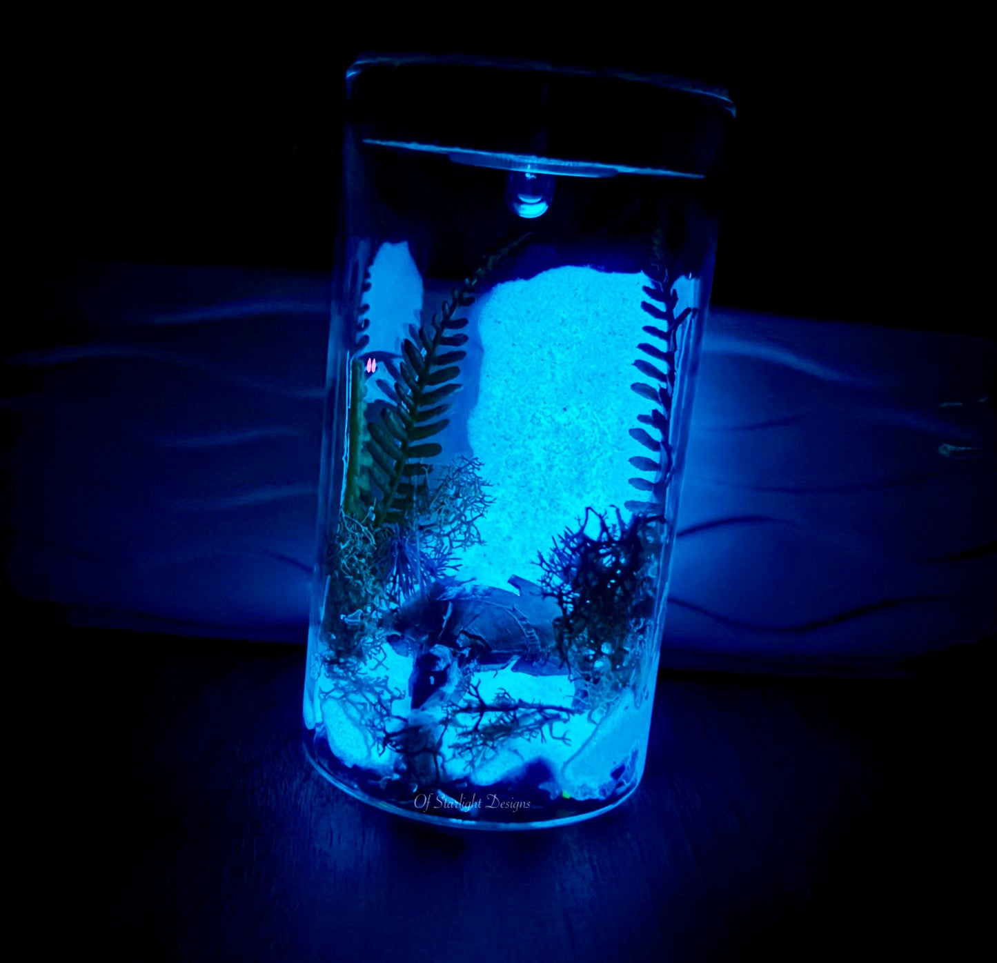 Forgotten Waterfall Light Test Tube